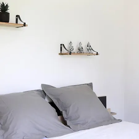 Appartement Coeur De Briquettes à Blagnac Extérieur photo