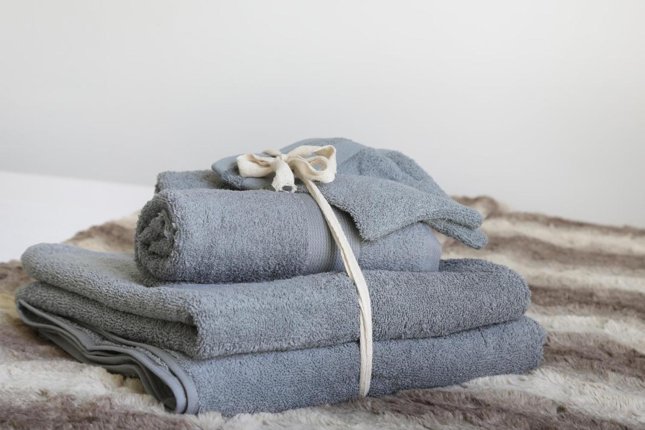 Coeur De Briquettes Apartment Blagnac